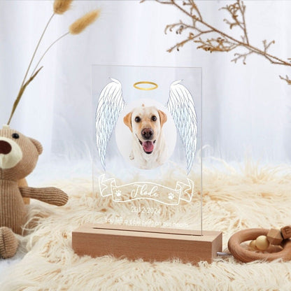 Memory Gift For Pet Loss